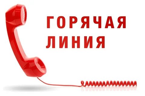 Телефон «Горячей линии».