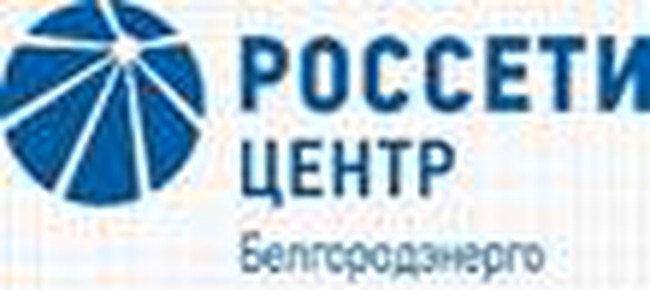 ПАО «Россети-Центр»-«Белгородэнерго» каждый четверг проводит День клиента в общественной приемной «Единой России»