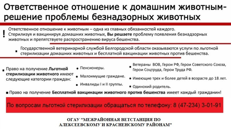 Льготная стерелизация животных. Льготная стерелизация животных.