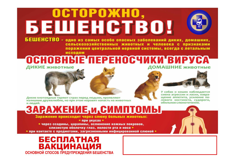 Бешенство. Бешенство.