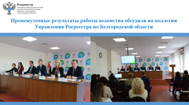 Промежуточные результаты работы ведомства обсудили на коллегии Управления Росреестра по Белгородской области.